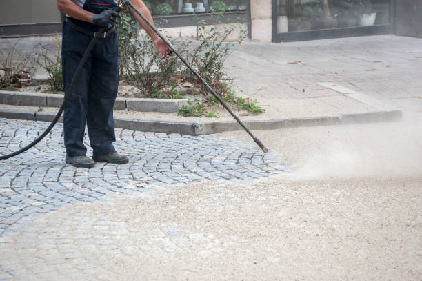 Best Driveway Cleaning and Restoration in Norwood, NJ